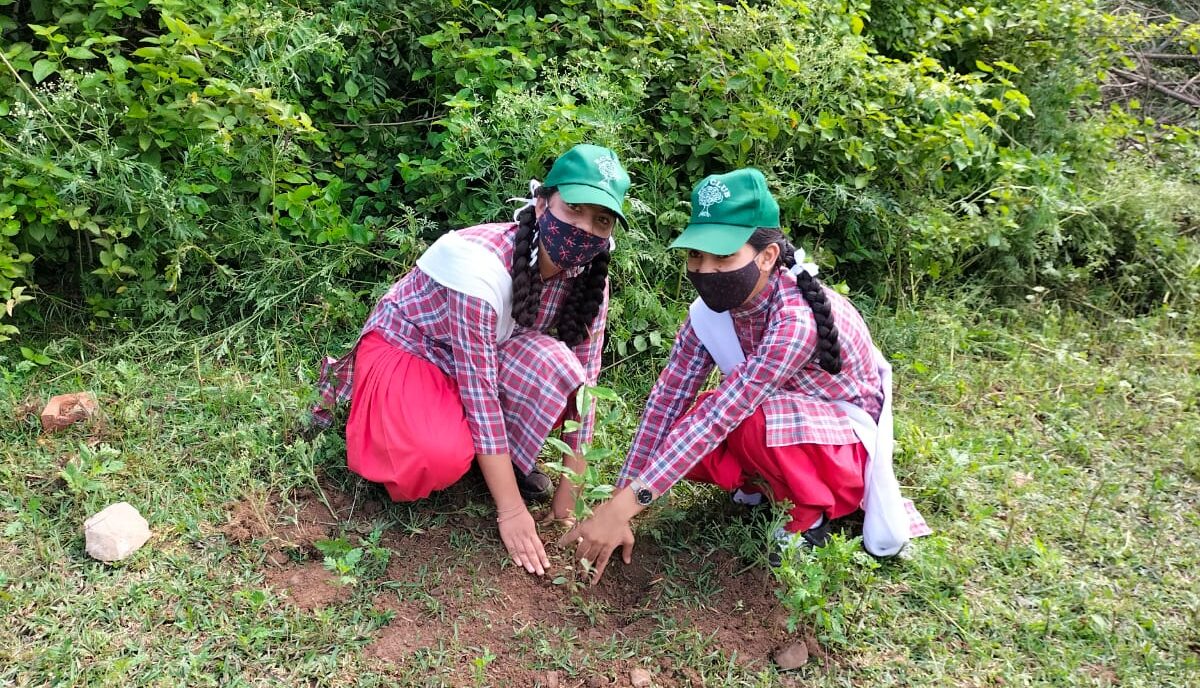 भूमती school के छात्रों द्वारा किया गया पौधारोपण